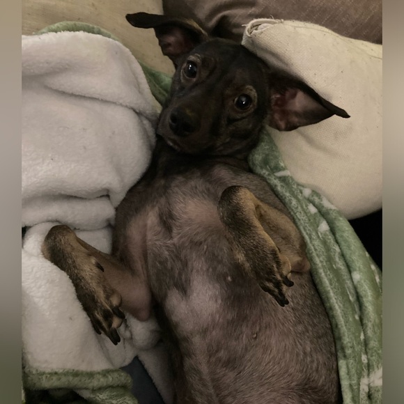 Share Show Notifications ☕️ ☀️ 🫶 - Picture 6 of 7